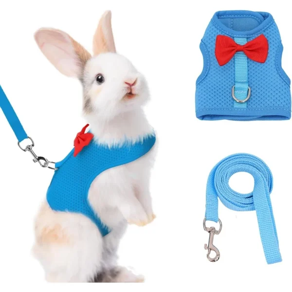 Small Pet Walking Harness – Bunny/Kitten/Ferret Mesh Vest